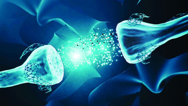 الامارات | علماء يطورون مشبك عصبي يحاكي الرؤية البشرية