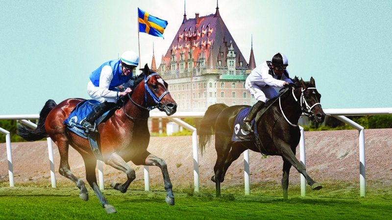 الامارات | السويد تستضيف كأس رئيس الدولة للخيول العربية اليوم