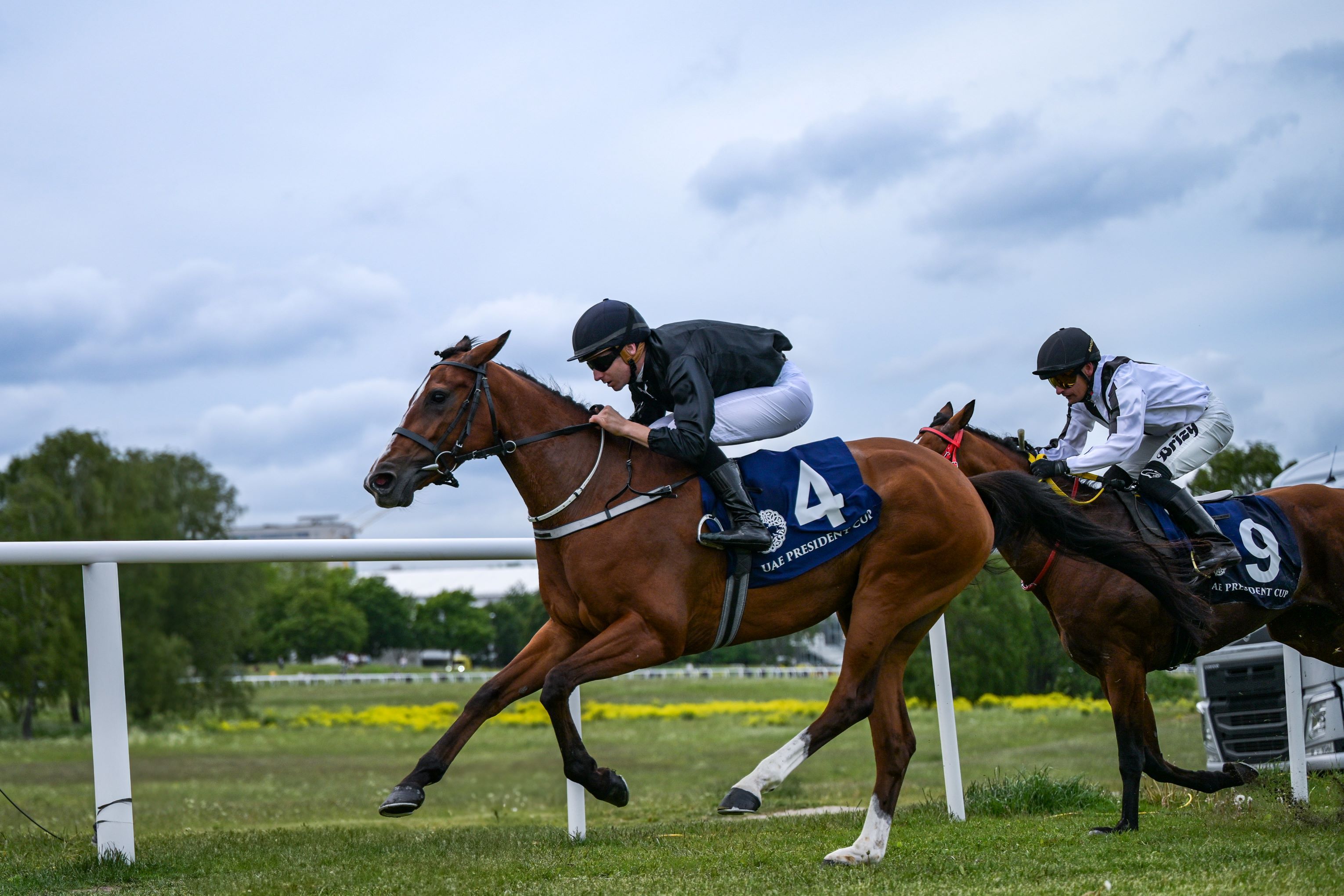 الامارات | "فريدة بي" تظفر بكأس رئيس الدولة للخيول العربية في السويد