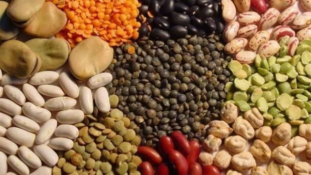 أسباب وأعراض الإصابة بانسداد القولون.. أبرزها انتفاخ البطن والإرهاق المستمر