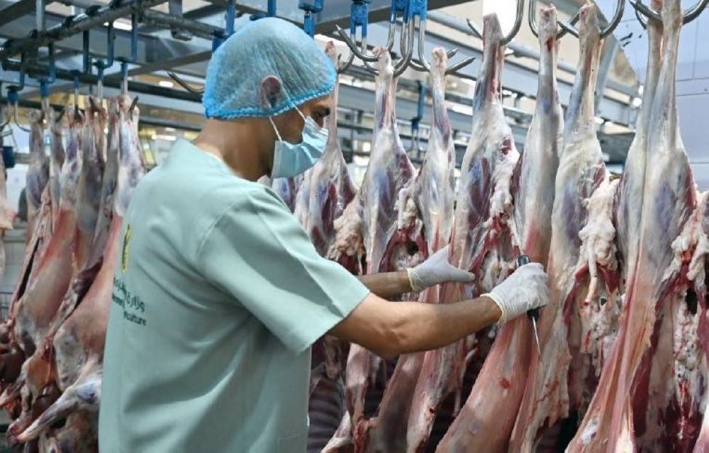 385 ألف ذبيحة خلال الأيام الثلاثة الأولى من عيد الأضحى