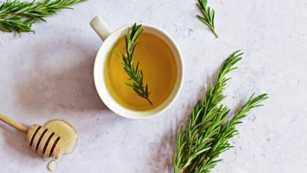 عشبة تحافظ على شباب بشرتك وتقوي ذاكرتك.. كيف تستخدمها بطريقة صحيحة؟