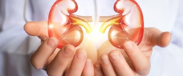 مشروبات طبيعية تمنع تكون الحصوات وتحمي الكلى