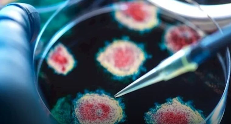 فيروس كورونا جديد.. تحذير عالمي من تهديد وبائي محتمل