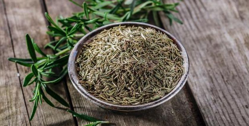 عشبة تحافظ على شباب بشرتك وتقوي ذاكرتك.. كيف تستخدمها بطريقة صحيحة؟