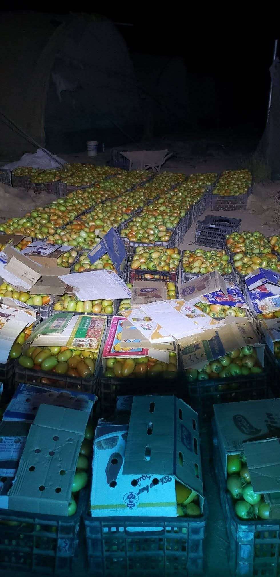 لا يصدق .. هذا سعر السلة الطماطم بصنعاء!