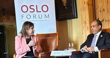 وزير الخارجية يدعو المجتمع الدولى إلى الاعتراف بدولة فلسطين