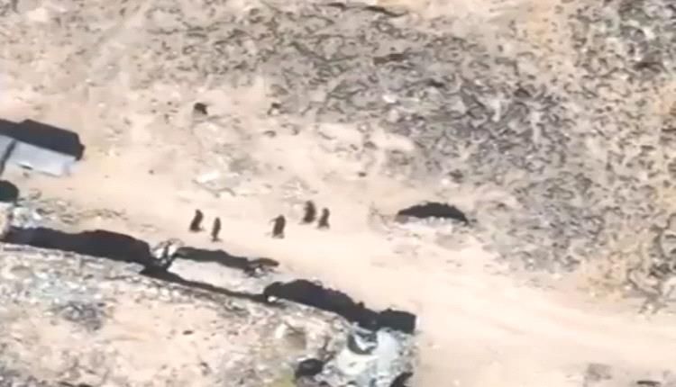 فيديو فضيحة "جهاد المتعة" في خنادق الحوثيين.. الزينبيات إلى الجبهات لإشباع الغرائز لا القتال