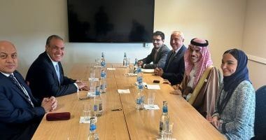 وزير الخارجية يبحث مع نظيره السعودي تطورات الأوضاع في قطاع غزة