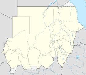 الخارجية الليبية تستنكر الزَّج بأبناء ليبيا في الصراع الدائر بالسودان