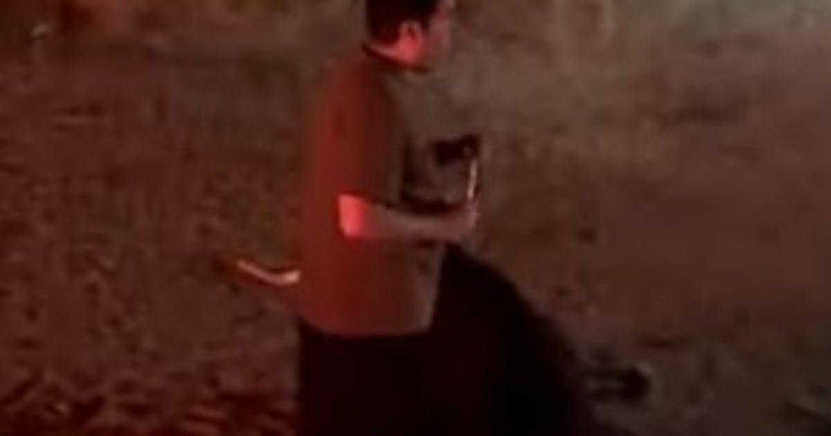 طبيبة الامتياز يارا العرفي تنقذ مصابين في حادث مروري على طريق العيص