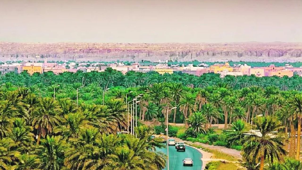 الأحساء تسجل أعلى درجة حرارة اليوم بـ 48 درجة مئوية