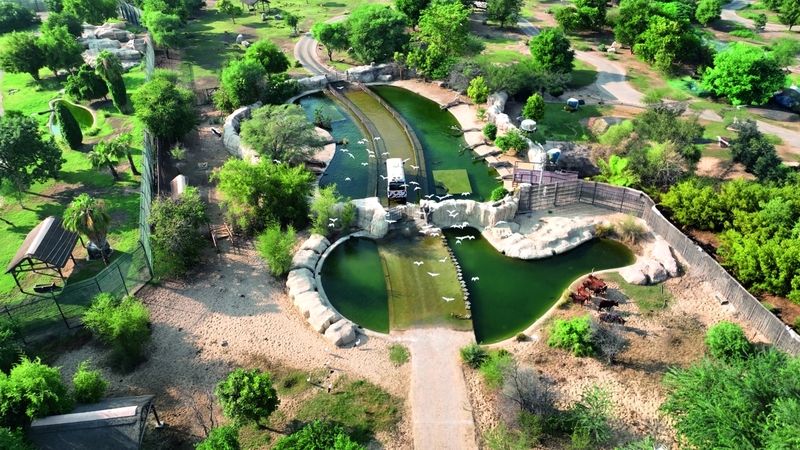 الامارات | «دبي سفاري بارك»..إنجازات نوعية في موسم استثنائي