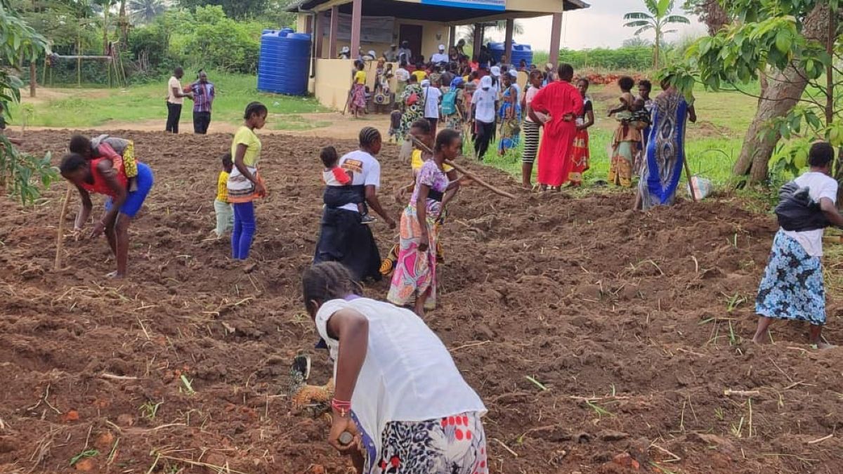 الامارات | «مبادرات محمد بن راشد العالمية» تكافح سوء التغذية في 3 دول إفريقية