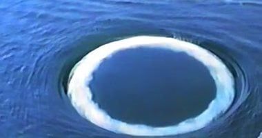 تكنولوجيا: علماء يكتشفون "اتصالات" غريبة بين كائنات ذكية غير بشرية فى محيطات الأرض