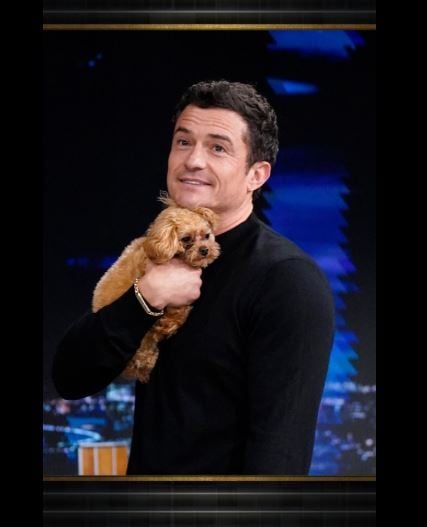 كلب أورلاندو بلوم يسرق الأضواء في ظهوره ببرنامج تليفزيوني