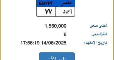 "أسد - 77".. أحدث لوحة سيارة مميزة مطروحة بالمزاد قيمتها تتخطى 1.5 مليون جنيه