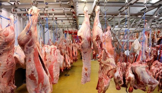 منظمة العون الإسلامي البريطاني تستهدف 676 أسرة نازحة بالمناقل بلحوم الأضاحي