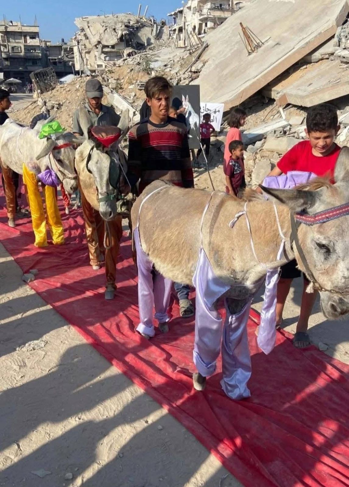ريد كاربت في غزة.. حفل لتكريم أصحاب الكارو والحمير لخدمتهم سكان القطاع (صور)