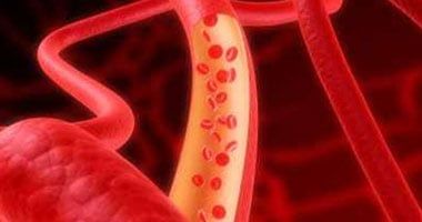 تعرف على أفضل أطعمة تحمى القلب والأوعية الدموية