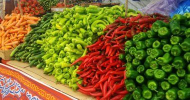 أسعار الخضار والفاكهة اليوم الأحد 15-6-2025 بمنافذ وزارة التموين