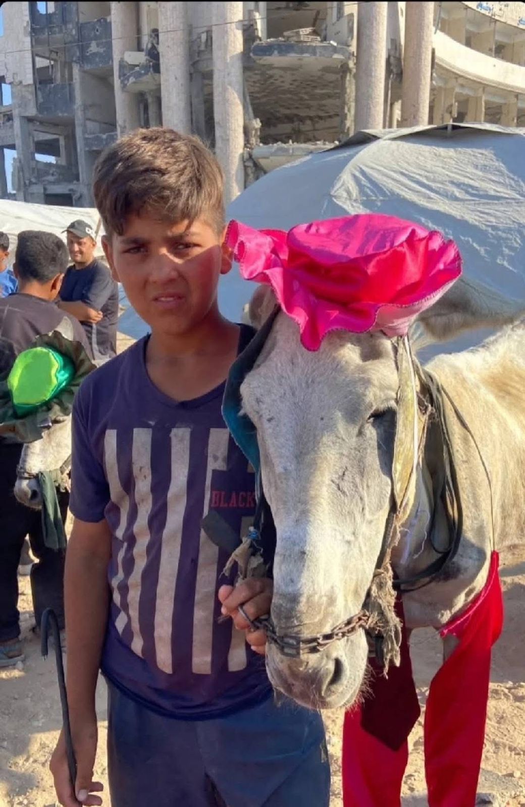 ريد كاربت في غزة.. حفل لتكريم أصحاب الكارو والحمير لخدمتهم سكان القطاع (صور)