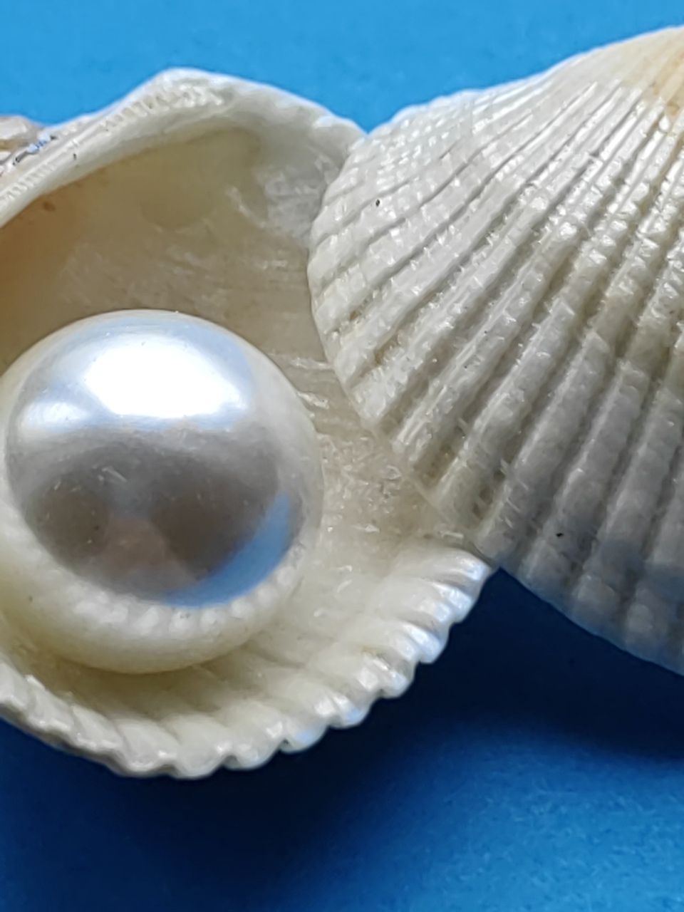 قصص من التراث الخليجي للأطفال 