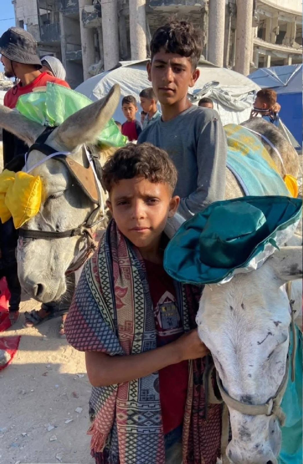 ريد كاربت في غزة.. حفل لتكريم أصحاب الكارو والحمير لخدمتهم سكان القطاع (صور)