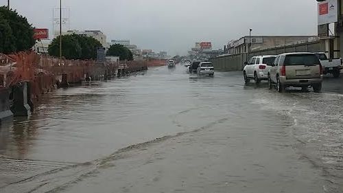 القبض على 18 مخالفًا لتهريبهم 270 كيلو قات في عسير