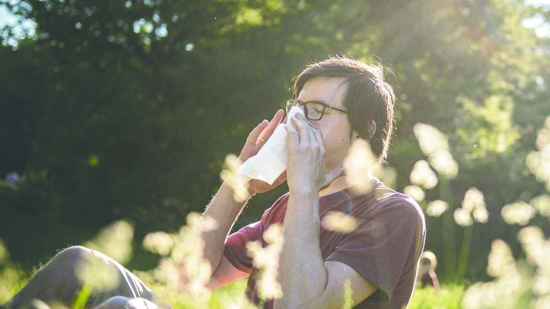 الامارات | التهاب الأنف التحسسي قد يتحوّل إلى ربو