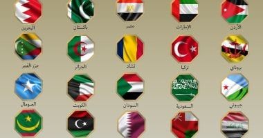 بيان مصري دولي مشترك يدين الهجمات الإسرائيلية على إيران