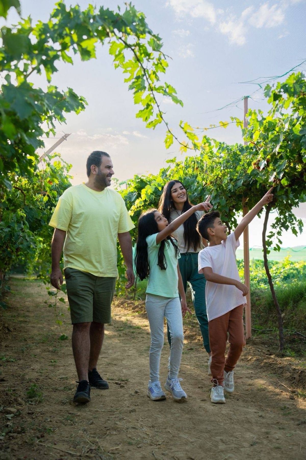 أجواء وتجارب وعروض وباقات تجذب السياح لأحضان الطبيعة في عسير والطائف