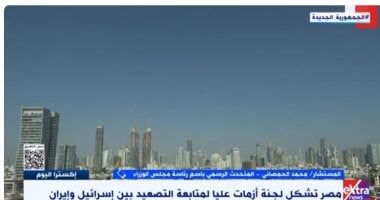 متحدث الوزراء: لجنة الأزمات تهدف لمتابعة التداعيات الاقتصادية فى المنطقة