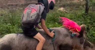 حالات يكون فيها الطفل معرضا للانحراف فى نظر القانون.. اعرف التفاصيل