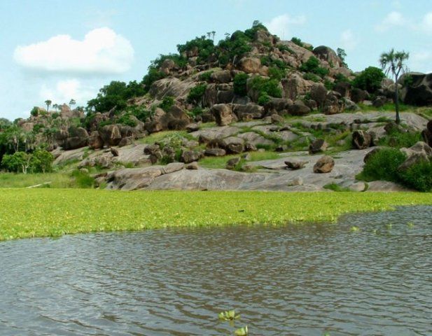 “الشيلة” في قرى كيري، وحي تارينقا، وحاكورة دائرة ديرا، بمنطقة جبل مرة