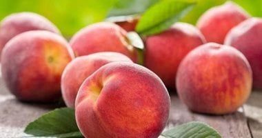 7 توصيات من الزراعة لمزارعى الخوخ خلال شهر يونيو.. تعرف عليها