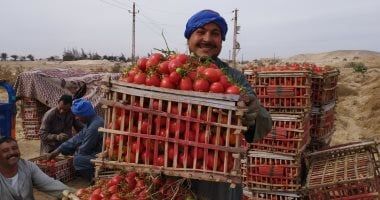 363 مليون جنيه زيادة فى دعم المزارعين بموازنة 25/26 عن العام السابق