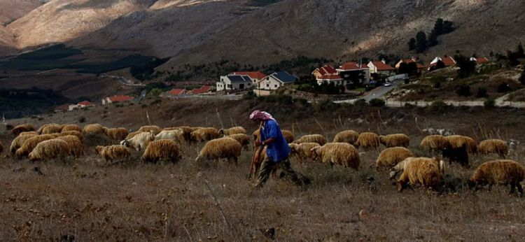 الجيش الإسرائيلي أفرج عن راعٍ بعد احتجازه في موقع رويسات العلم