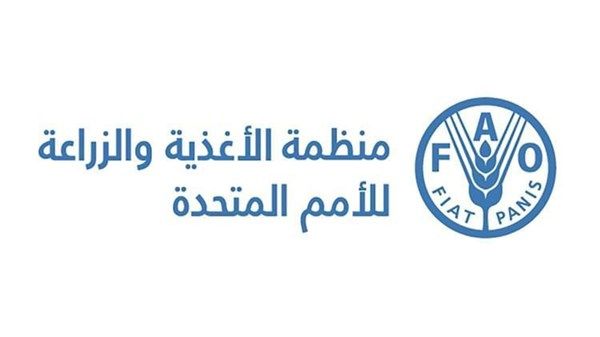 «فاو»: 46 مليون هكتار بالمنطقة العربية «مثيرة للقلق»