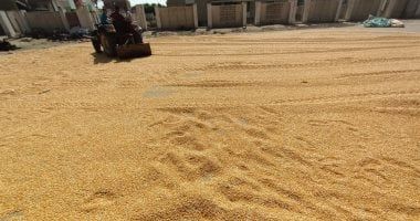 "الزراعة": لا يوجد عجز فى خامات الأعلاف المستوردة والمحلية