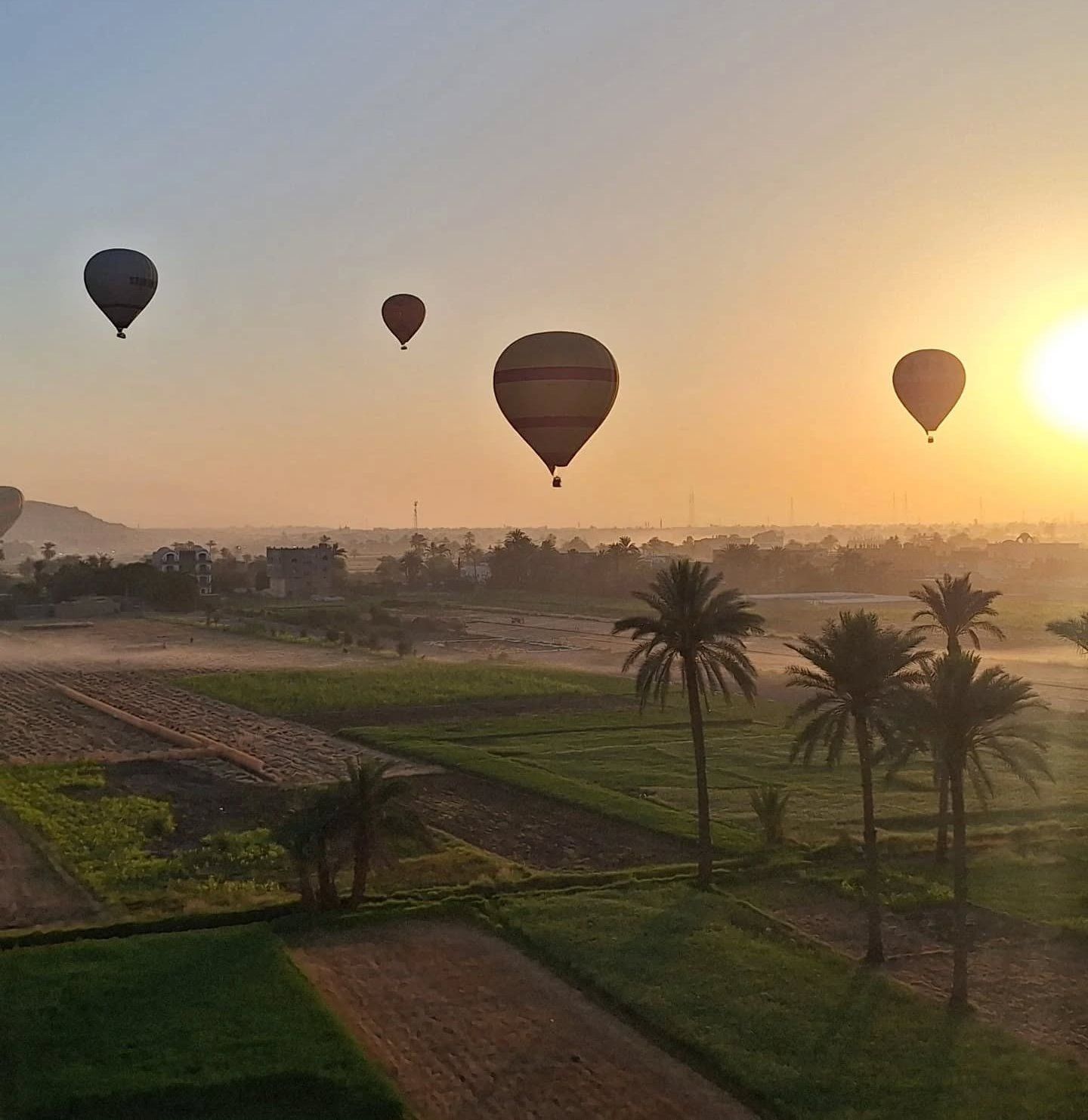 البالون الطائر مغامرة ساحرة تحلق بالسياح على ارتفاع 2000 قدم بالأقصر.. صور