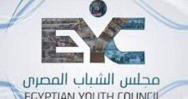 مجلس الشباب المصرى: مناهضة خطاب الكراهية ضرورة وطنية لحماية السلم المجتمعى
