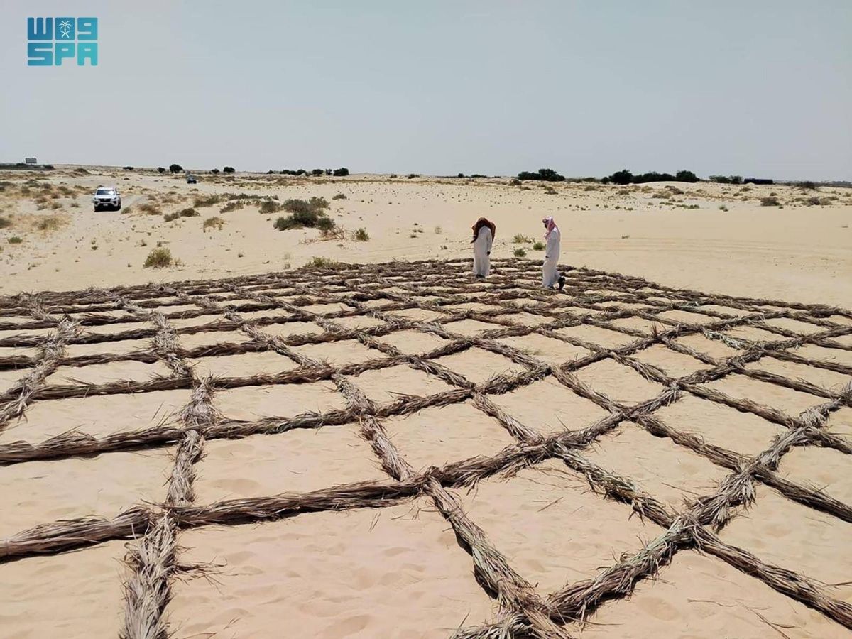 «الفاو» تجدد التزامها بدعم استعادة الأراضي وتعزيز الاستدامة البيئية في اليوم العالمي لمكافحة التصحر والجفاف