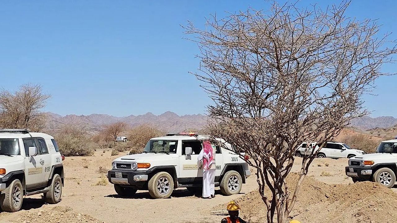 نقل 5 أشجار مُعمّرة في المدينة المنورة إلى مناطق تنمية الغطاء النباتي