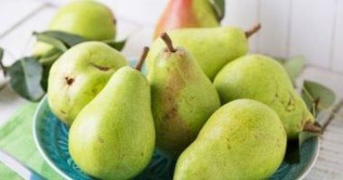 توصيات عاجلة لمزارعى الكمثرى.. تعرف عليها