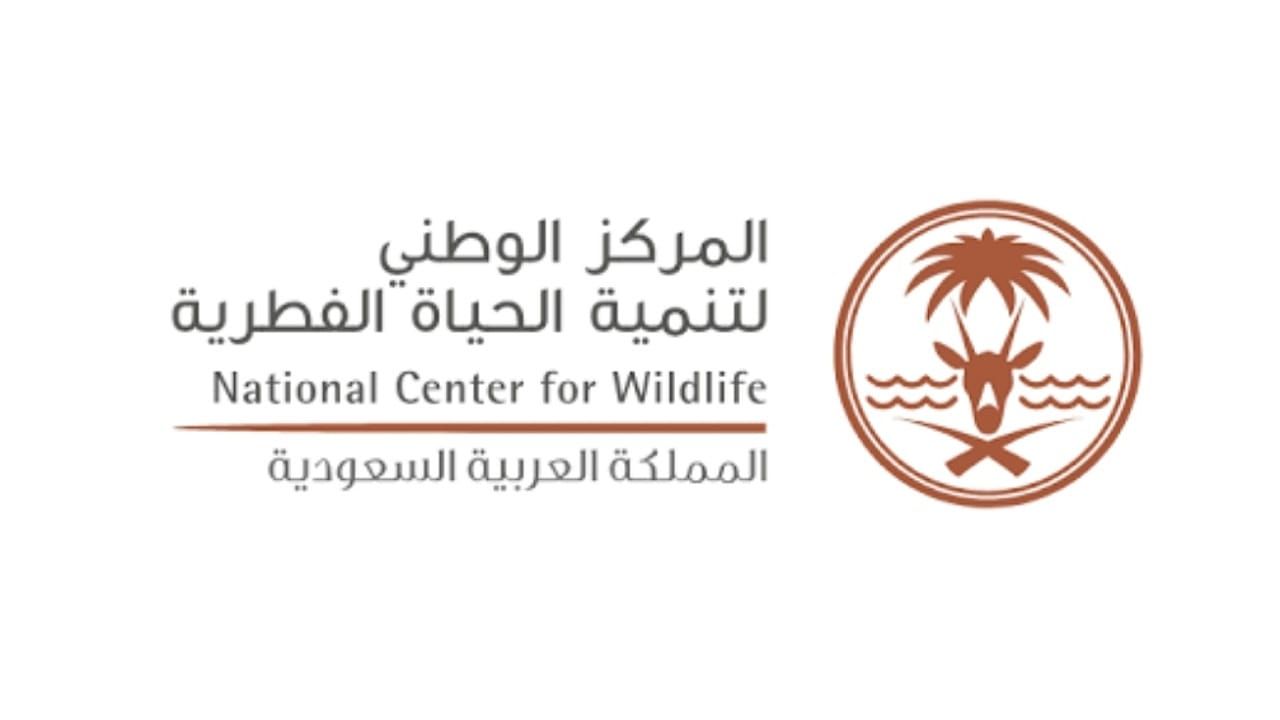 الحياة الفطرية ترصد نسورًا سمراء وتكشف تكاثرها في جبال المملكة