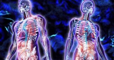 تعرف على دور الحاصلات البستانية لتعزيز مناعة الجسم