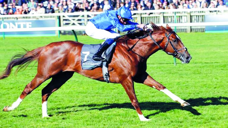 الامارات | «شادو أوف لايت» ينشد لقب «كومنولث ستيكس» في مهرجان «رويال آسكوت»