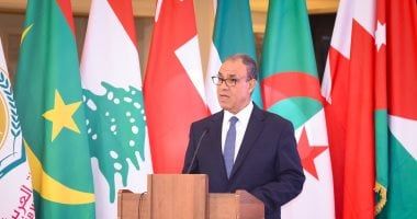 وزير الخارجية يعقد لقاءات عدة على هامش اجتماع "التعاون الإسلامي" فى تركيا