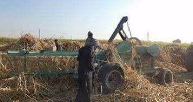 البحوث الزراعية: استخدام المخلفات الزراعية يوفر العديد من فرص العمل و يخفض التلوث